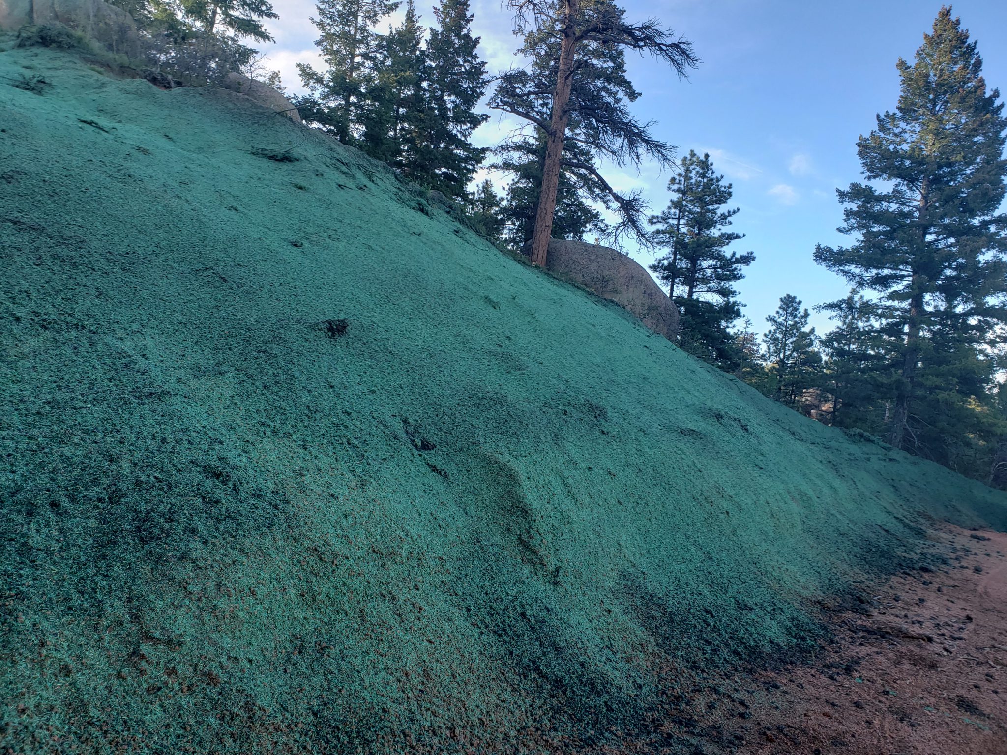 Hydroseeding Applications A1 Affordable Hydroseed